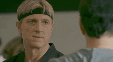 Cobra Kai GIF