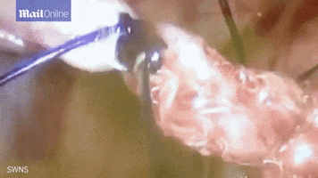marcianos  GIF