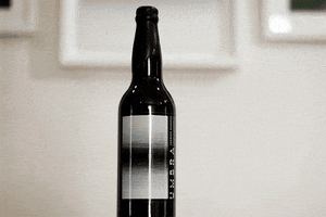 GaleriaPandea GIF
