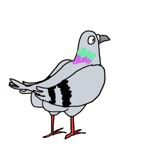 Bird Pigeon Sticker by K-Fai Steele