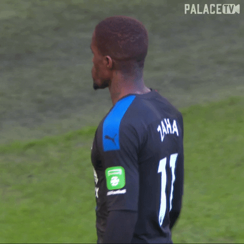 Cant Hear You Premier League GIF by CPFC