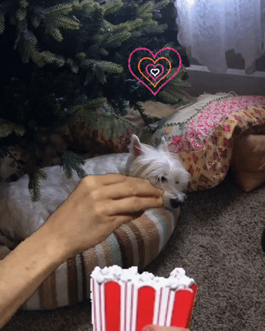 League of Crafty Canines GIF