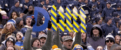 College Football GIF by Pitt Panthers