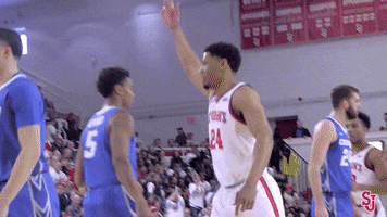 Lets Go Hype GIF by St. John's Red Storm