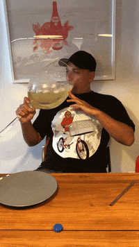One Glass GIFs - Find & Share on GIPHY