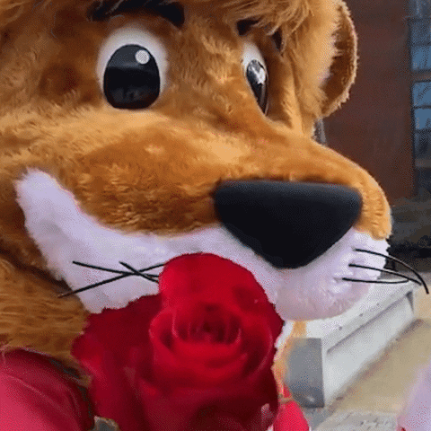 GIF by De Montfort University