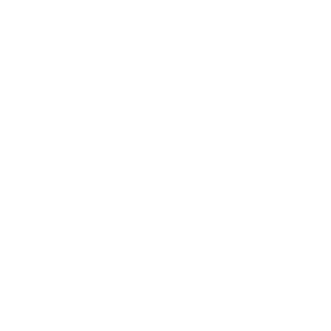 TNT Racing Group Sticker