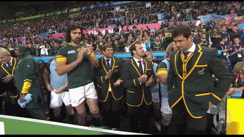 South Africa Rugby Reaction GIF by Rugby World Cup