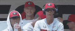 College Baseball Sport GIF by NCAA Championships