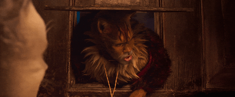 Cats Movie Gifs Get The Best Gif On Giphy