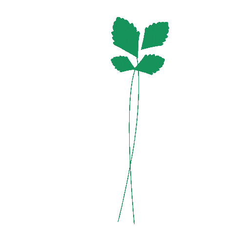 Houstonia Magazine Sticker