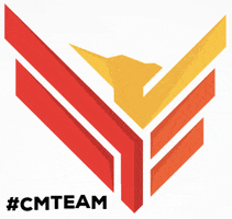 cmteam GIF