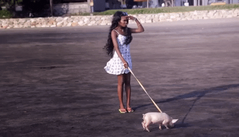 giphy.gif?cid=5e2148863e670ce102405577ad