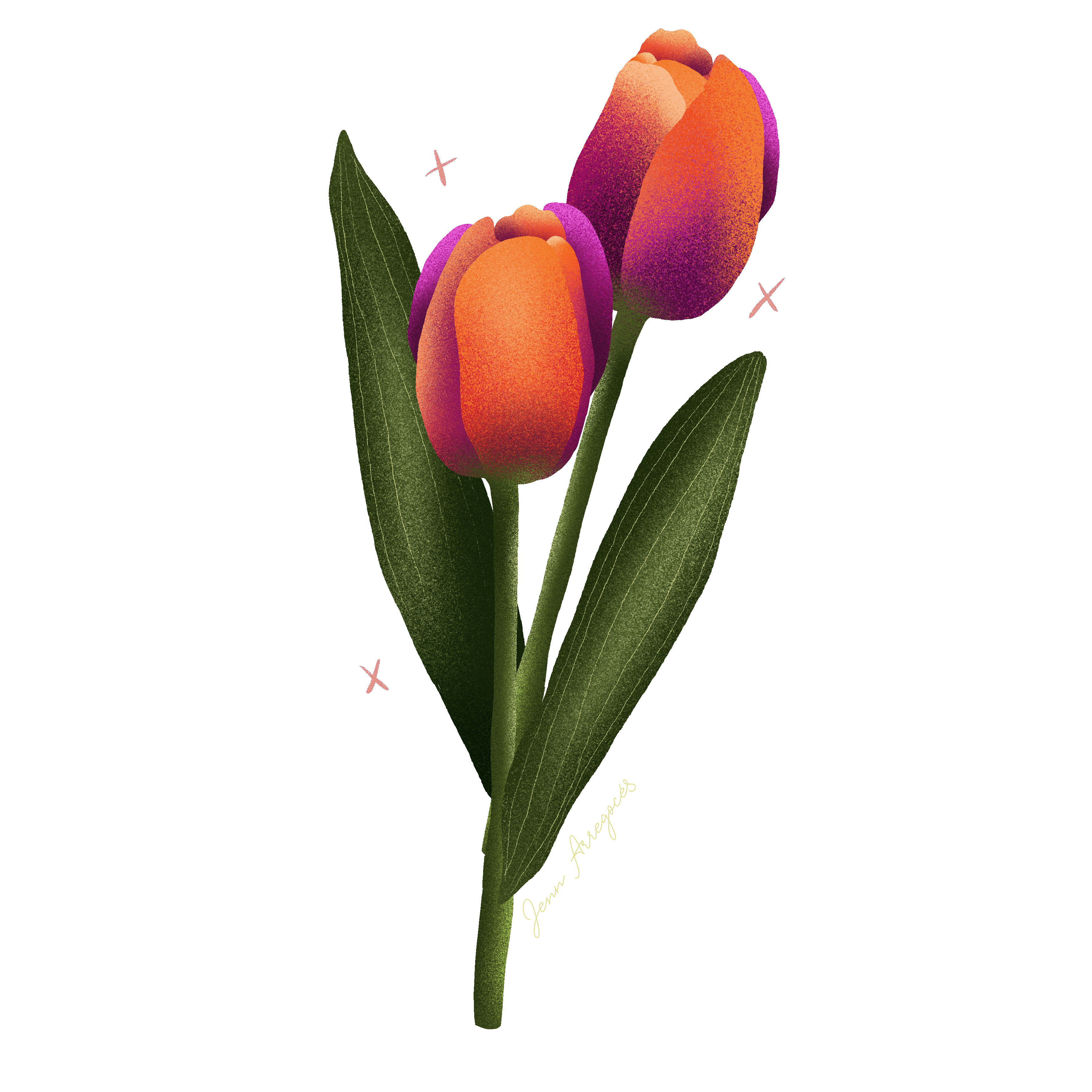 Flowers Flores Sticker by Jenn Arregocés for iOS & Android GIPHY