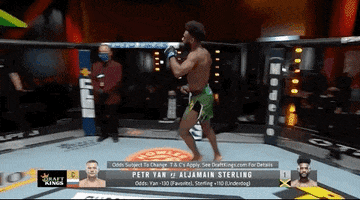 Aljamain Sterling Sport GIF by UFC