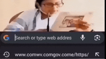 Error Congress GIF