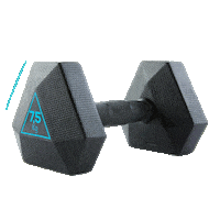 Fitness Domyos Sticker by Decathlon Singapore