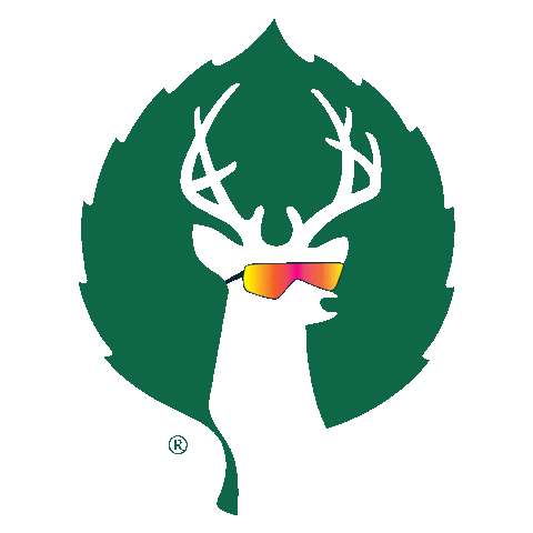 Park City Sunglasses Sticker by Deer Valley Resort