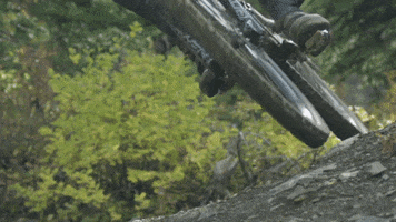 Steel City Media GIF
