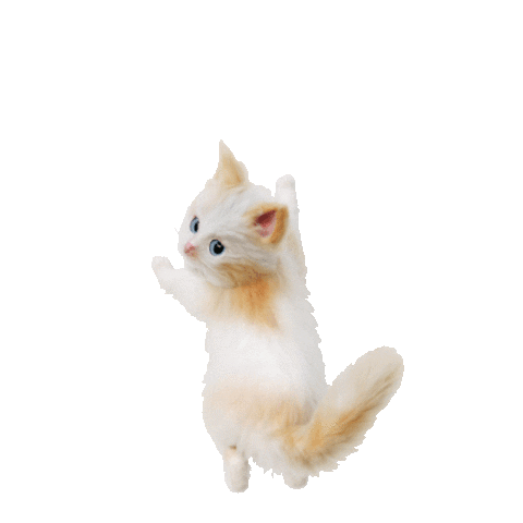 KittenSoftIreland Sticker