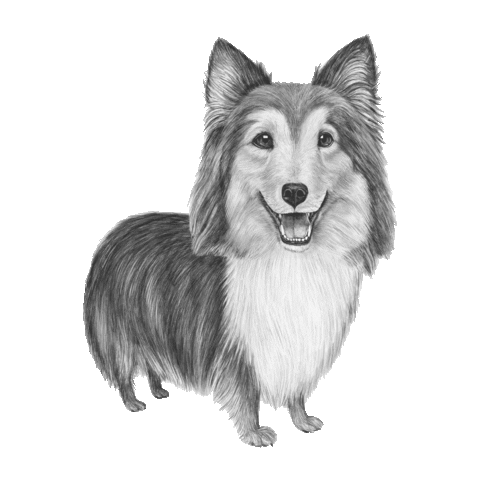 Dog Blinking Sticker by AniCura Nederland