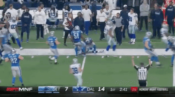 andre roberts GIF by Detroit Lions