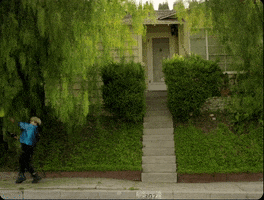 Music video gif. From Claud's "Wish You Were Gay," Claud's yellow balloon gets caught in a willow tree in front of someone's house and struggles to free it.