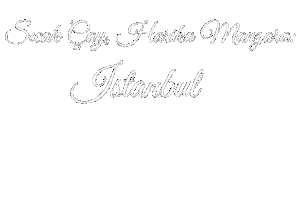 Istanbul Sticker
