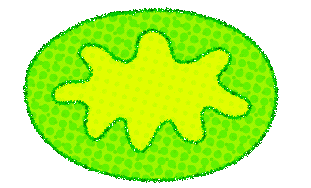 Bacteria Petri Dish Sticker by jadecsmith