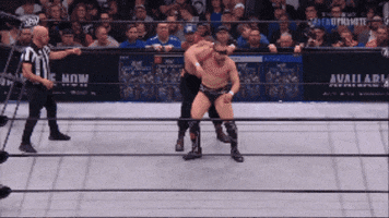 Aew GIF