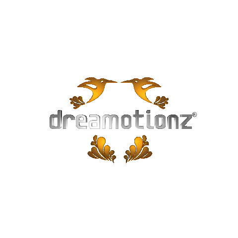 Dreamotionz Sticker