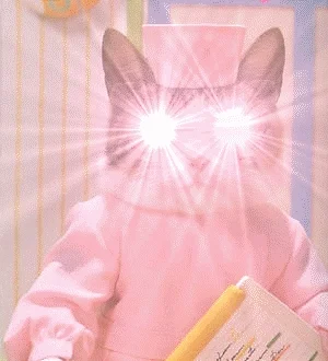 Jackie Kennedy Cat GIF