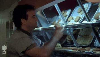 Animalhouse GIF