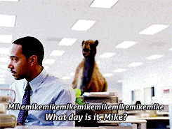 Geico Camel Gifs Get The Best Gif On Giphy