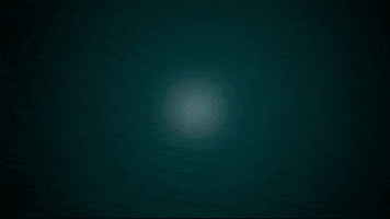 Yyc GIF