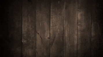 beefjerkyoutletstc GIF