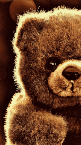 Teddy Bear Live Wallpaper For Android GIF
