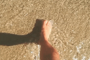 Scalzi & Pareati GIF
