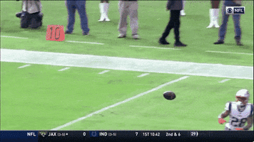 New England Patriots GIF