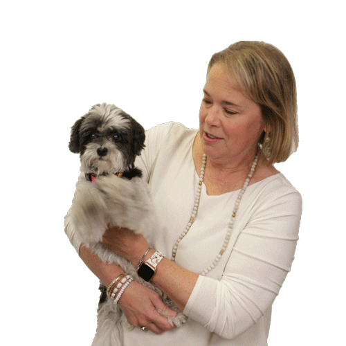 Raising Boys and Girls Sticker