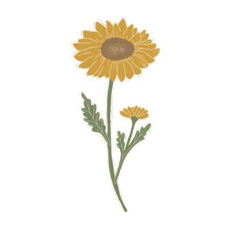 Nature Sticker