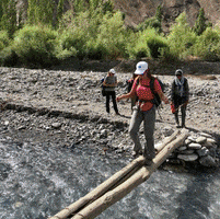 Roamfamilytravel Familyvacation GIF