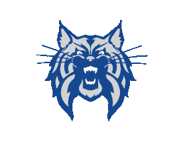 Wildcats Wsa Sticker by Westminster Schools of Augusta