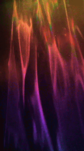 Happy Party Gif By Mollie Serena Find Share On Giphy Happy Party Gif By Mollie Serena Find Share On Giphy