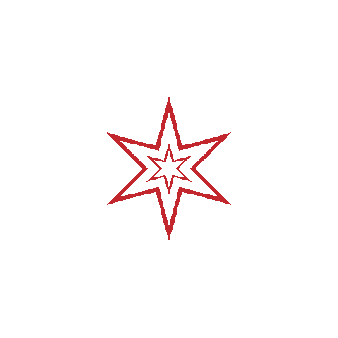 Six Point Pet Sticker