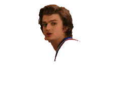 Netflix Sticker