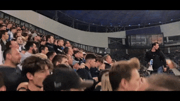 Jump Fans GIF by KAA Gent