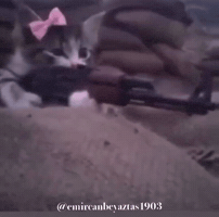 Emircanbeyaztas1903 GIF