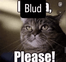 Cat Skibidi GIF