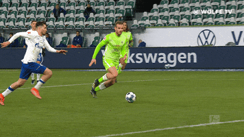 Koen Casteels Football GIF by VfL Wolfsburg